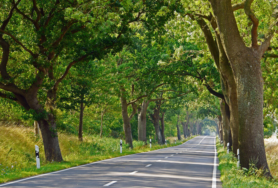 Deutsche-Alleen-Straße Deutsche-Alleen-Straße